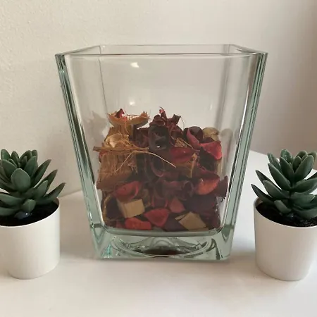 -santandrea Apartment- *